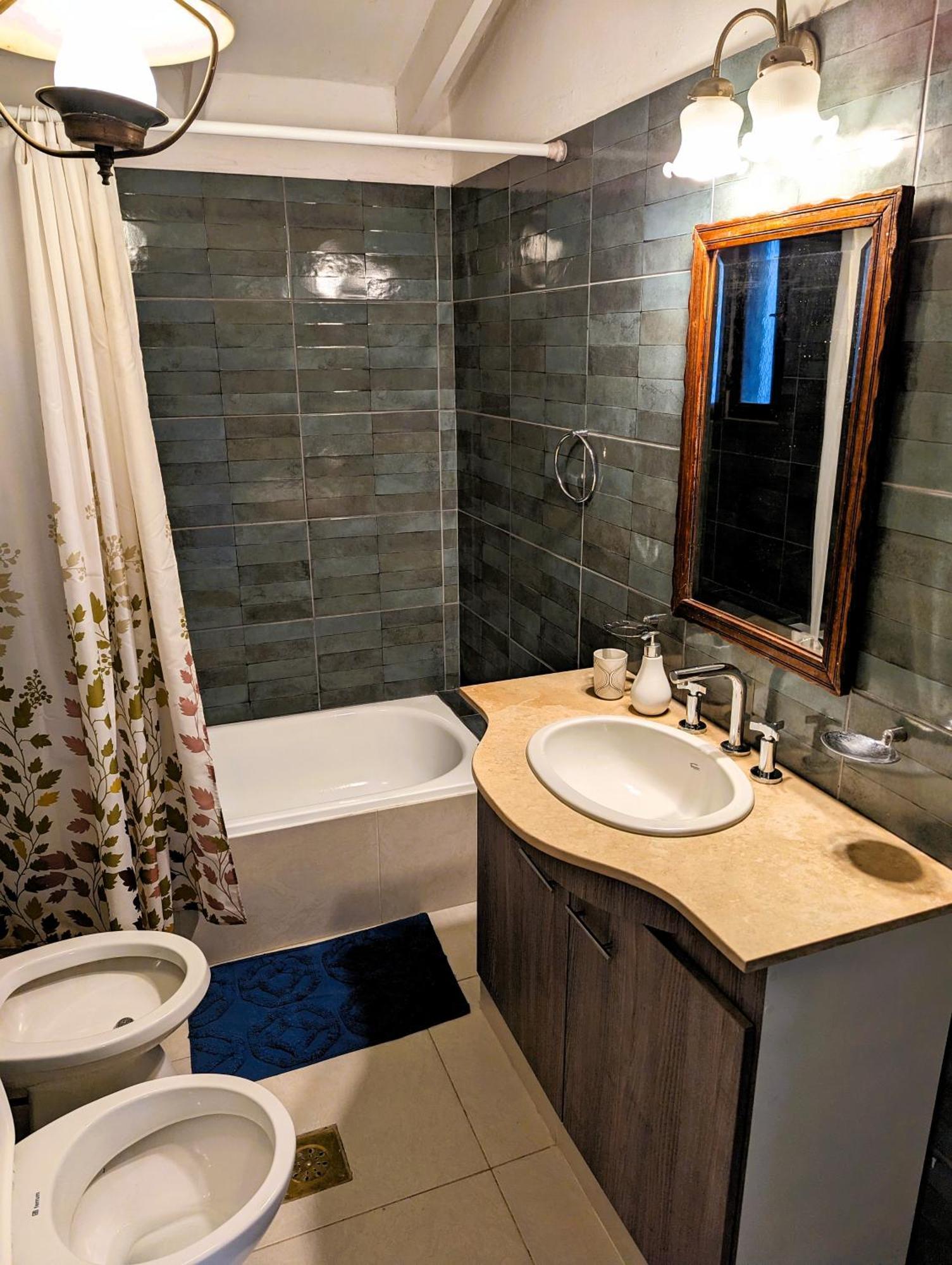 Big Beautiful House With Garden In 5ta Seccion Neighbourhood * Mendoza