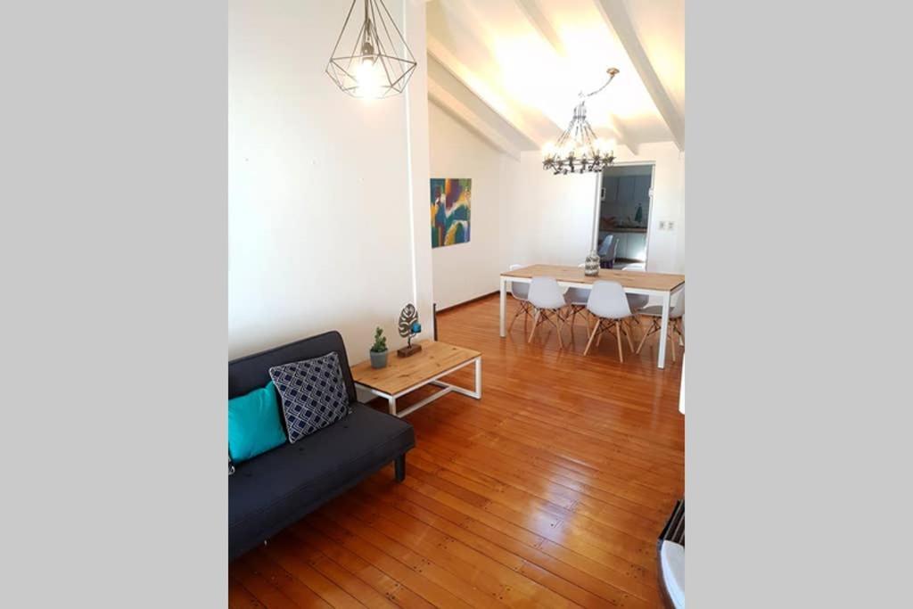 Big Beautiful House With Garden In 5ta Seccion Neighbourhood Mendoza