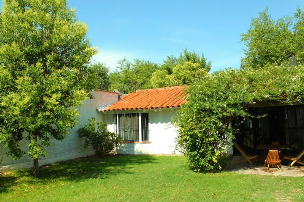Big Beautiful House With Garden In 5ta Seccion Neighbourhood * Mendoza